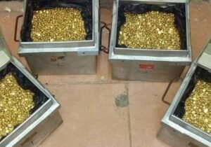 Best Gold Nuggets in Kuwait Gold Nuggets in Canada