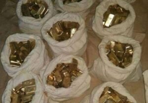 Raw Gold Nuggets in Wellington Gold Bars in Russia