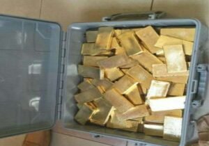 Raw Gold Nuggets in Wellington Gold Bars in Russia